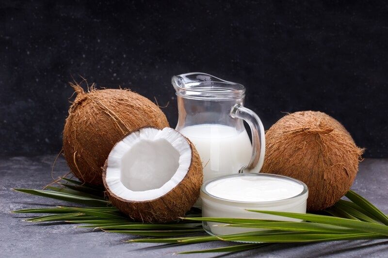 Coconut Milk Organic- 100 Grams